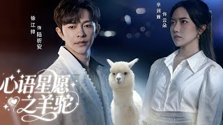 The Llama's Love Whispers