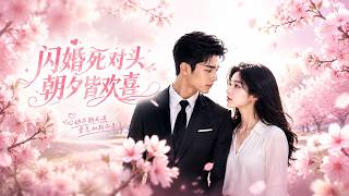 闪婚死对头朝夕皆欢喜
