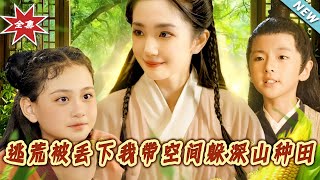深苑锁锦年