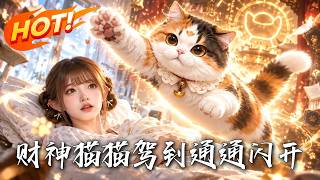 财神猫猫驾到，通通闪开