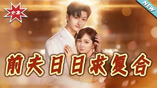 Ex-Husband Begs for Reconciliation Daily