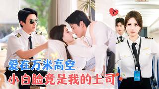 The Airline CEO and the Young Lover