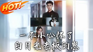 壹不小心懷了白月光老板的崽