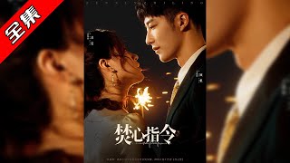 焚心指令