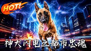 The Loyal Hero of the City: Lightning the Divine Dog