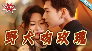 The Stray Dog Kisses the Rose