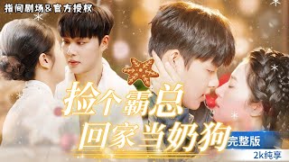 霸縂遇難，小嬭狗的聖誕奇跡