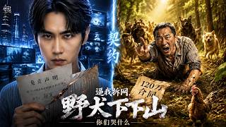 逼我拆網，野犬下山你們哭什麽