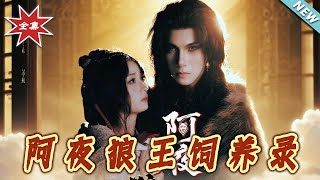 《阿夜狼王饲养录》
