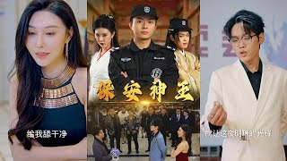 保安神王：穿越時空的守護者