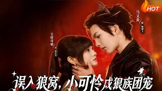 Accidentally Entering the Wolf Den: The Little Poor Thing Becomes the Wolf Clan's Favorite