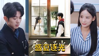 盛夏逐光