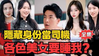 The Hidden Tycoon Driver's Romantic Tribulations