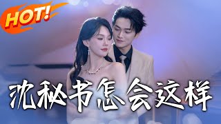 沈秘书怎会这样