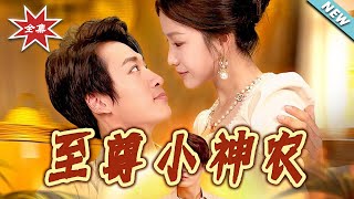 至尊小神农