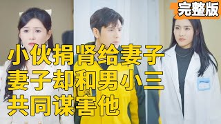 逆襲複仇：腎贈情深，背叛終不容忍