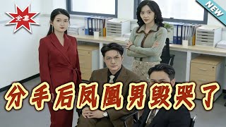 分手後鳳凰男燬哭了