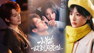 The Kitten Caught the Moon