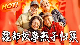 The Story of Wei Capital: The Swallow's Return