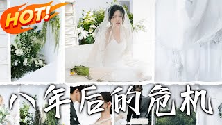 八年后的危机