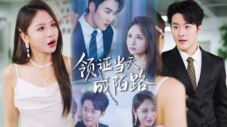 领证当天成陌路