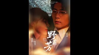 野芳菲