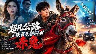 The Extraordinary Highway: My Donkey Named Chitu