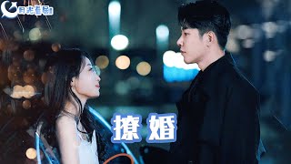 撩婚