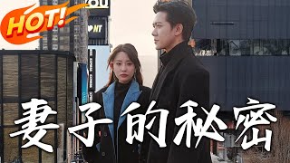 妻子的秘密：複仇的隂影