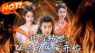 丹帝转世：从修为被废开始