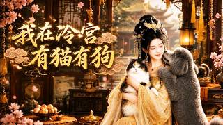 My Cats and Dogs in the Cold Palace