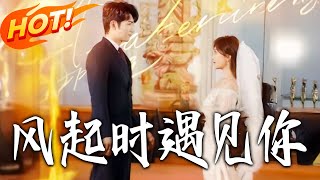 Meeting You When the Wind Rises