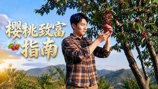 Cherry Wealth-Building Guide
