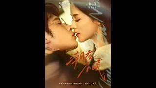 潮夜不眠