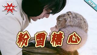 Pink Snow Sugar Heart