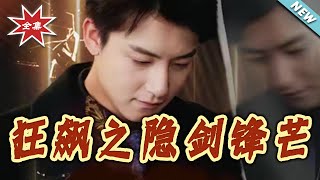 《狂飙之隐剑锋芒》