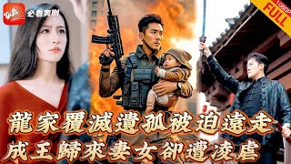萬疆龍帥的複仇之路