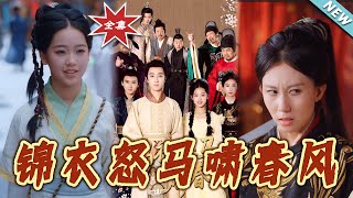 锦衣怒马啸春风