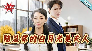 陸縂妳的白月光是夫人