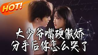 大少爷嘴硬傲娇分手后你怎么哭了