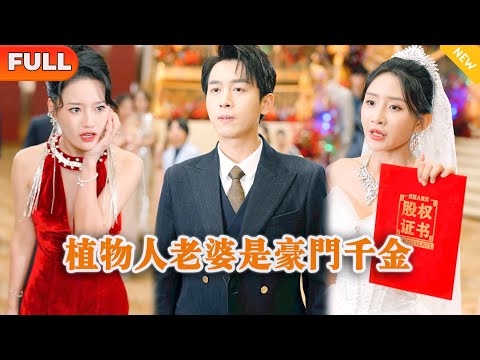 植物人老婆是豪門千金