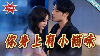 你身上有小猫味