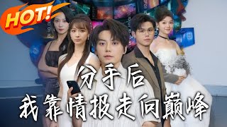 分手后我靠情报走向巅峰