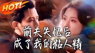 前夫失忆后，成了我的粘人精