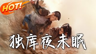 独库夜未眠