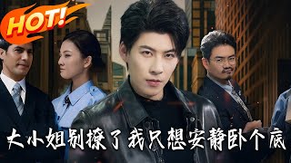 大小姐别撩了，我只想安静卧个底