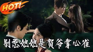 别惹她，她是贺爷掌心雀