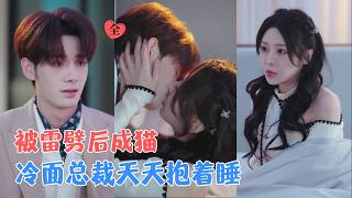 冷脸总裁的猫宠变人计划
