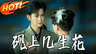 《砚上几生花》第1~62集【高清完结合集】丨