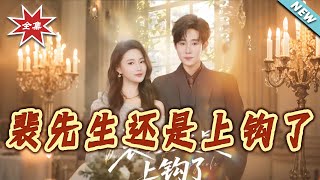 裴先生还是上钩了